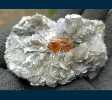 RG1286a Scheelite on Muscovite from Mt. Xuebaoding, Pingwu County, Mianyang Prefecture, Sichuan Province, China RG1286a Scheelite on Muscovite from Mt. Xuebaoding, Pingwu County, Mianyang Prefecture, Sichuan Province, China
