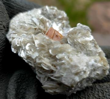 RG1286a Scheelite on Muscovite from Mt. Xuebaoding, Pingwu County, Mianyang Prefecture, Sichuan Province, China RG1286a Scheelite on Muscovite from Mt. Xuebaoding, Pingwu County, Mianyang Prefecture, Sichuan Province, China