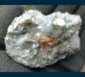 RG1286a Scheelite on Muscovite from Mt. Xuebaoding, Pingwu County, Mianyang Prefecture, Sichuan Province, China RG1286a Scheelite on Muscovite from Mt. Xuebaoding, Pingwu County, Mianyang Prefecture, Sichuan Province, China