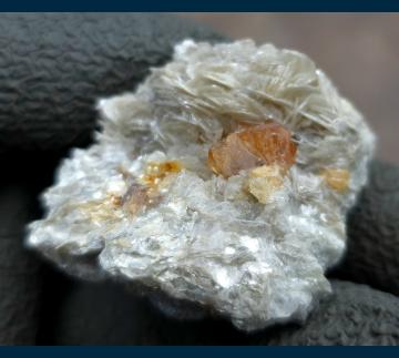 RG1286b Scheelite on Muscovite from Mt. Xuebaoding, Pingwu County, Mianyang Prefecture, Sichuan Province, China RG1286b Scheelite on Muscovite from Mt. Xuebaoding, Pingwu County, Mianyang Prefecture, Sichuan Province, China