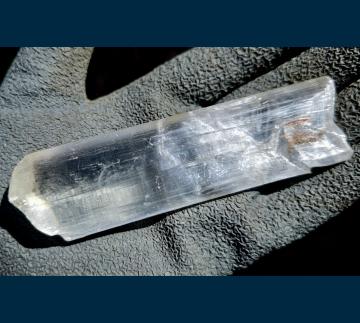 ELC1452 Gypsum ( var. Selenite ) from Naica Mine, Naica District, Sierra de Naica, Municipio de Saucillo, Chihuahua, Mexico ELC1452 Gypsum ( var. Selenite ) from Naica Mine, Naica District, Sierra de Naica, Municipio de Saucillo, Chihuahua, Mexico