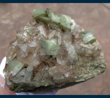 ELC3239 Orthoclase ( var. Adularia ) on Smoky Quartz with Gwindel Quartz from Rhone-Gletscher, Ober-Wallis, Switzerland ELC3239 Orthoclase ( var. Adularia ) on Smoky Quartz with Gwindel Quartz from Rhone-Gletscher, Ober-Wallis, Switzerland