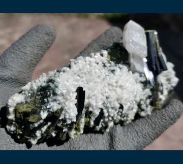 JC213 Epidote with Calcite and Albite from Knappenwand area, Untersulzbach Valley, Hohe Tauern, Salzburg, Austria JC213 Epidote with Calcite and Albite from Knappenwand area, Untersulzbach Valley, Hohe Tauern, Salzburg, Austria