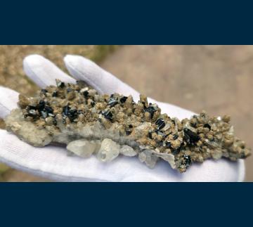 JC357 Ilvaite with Calcite on Quartz from Dal'negorsk, Primorskiy Kray, Russia