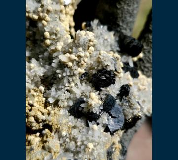 RG0117 Sphalerite on Quartz with Siderite from Nikolaevskiy ( Nikolaev Mine ), Dal'negorsk, Primorskiy Kray, Russia RG0117 Sphalerite on Quartz with Siderite from Nikolaevskiy ( Nikolaev Mine ), Dal'negorsk, Primorskiy Kray, Russia