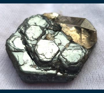 RG0184 Hematite ( var. Iron Rose ) with Smoky Quartz from Ouro Preto, Minas Gerais, Brazil RG0184 Hematite ( var. Iron Rose ) with Smoky Quartz from Ouro Preto, Minas Gerais, Brazil