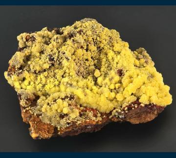 Mimetite - Mexico - PE68