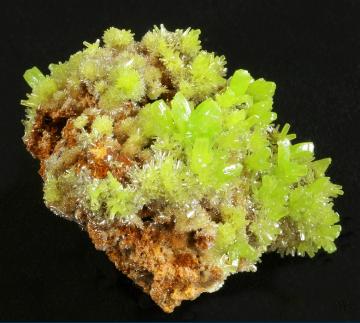 Pyromorphite - China - CMS299