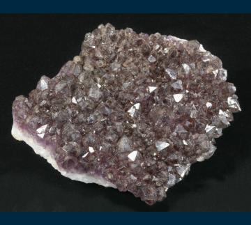 Quartz ( var. Amethyst ) - United States of America - Q335