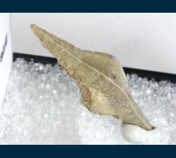 Anatase - Brazil - RG1074