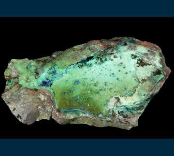 Azurite and Rosasite on Chrysocolla - United States of America - RG0680