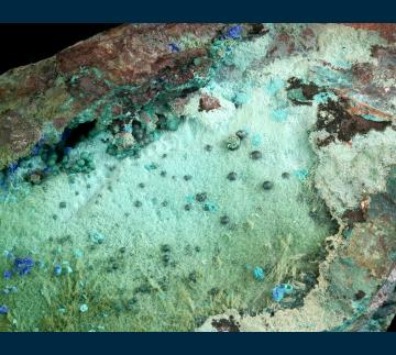 Azurite and Rosasite on Chrysocolla - United States of America - RG0680