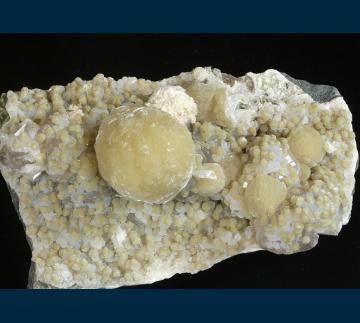 Gyrolite with Calcite - India - RG0685