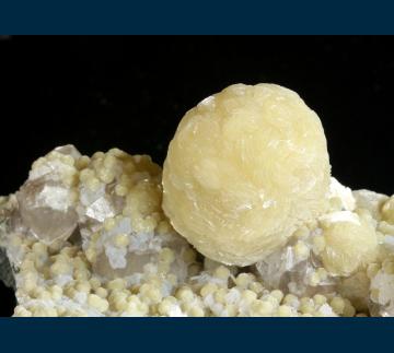 Gyrolite with Calcite - India - RG0685