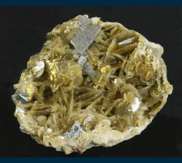 Tetrahedrite with Chalcopyrite on Siderite - China - MMH-35