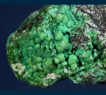 RG0497 Chrysocolla from 79 Mine, Banner District, Dripping Springs Mts., Gila County, Arizona, USA RG0497 Chrysocolla from 79 Mine, Banner District, Dripping Springs Mts., Gila County, Arizona, USA
