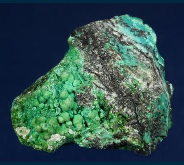 RG0497 Chrysocolla from 79 Mine, Banner District, Dripping Springs Mts., Gila County, Arizona, USA RG0497 Chrysocolla from 79 Mine, Banner District, Dripping Springs Mts., Gila County, Arizona, USA