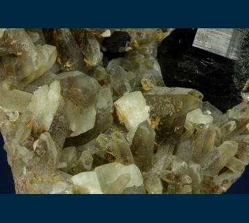 RG1208 Schorl and Apatite on Quartz from Woolley Farm, Dartmoor and Teign Valley District, Bovey Tracey, Devon, England, United Kingdom RG1208 Schorl and Apatite on Quartz from Woolley Farm, Dartmoor and Teign Valley District, Bovey Tracey, Devon, England, United Kingdom