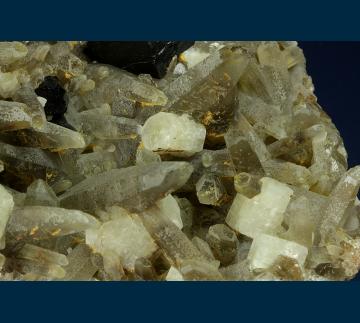 RG1208 Schorl and Apatite on Quartz from Woolley Farm, Dartmoor and Teign Valley District, Bovey Tracey, Devon, England, United Kingdom RG1208 Schorl and Apatite on Quartz from Woolley Farm, Dartmoor and Teign Valley District, Bovey Tracey, Devon, England, United Kingdom