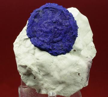 DM295 Azurite from Malbunka Cu Mine, Gardiner Range, Areyongo, Northern Territory, Australia DM295 Azurite from Malbunka Cu Mine, Gardiner Range, Areyongo, Northern Territory, Australia