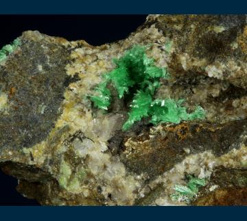 GR126 Annabergite from km-3 Mine, Lavrion District Mines, Lavrion (Laurium) District, Attikí (Attika) Prefecture, Greece GR126 Annabergite from km-3 Mine, Lavrion District Mines, Lavrion (Laurium) District, Attikí (Attika) Prefecture, Greece
