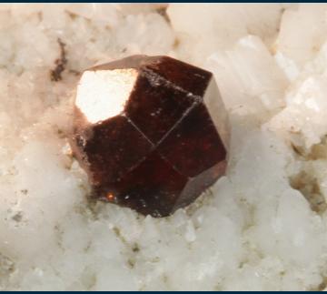 GR148 Spessartine garnet on Microcline from Latinka, near Ardino town, Rhodope Mts, Kardzali Oblast, Bulgaria GR148 Spessartine garnet on Microcline from Latinka, near Ardino town, Rhodope Mts, Kardzali Oblast, Bulgaria