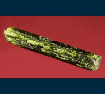 GR93 Epidote from Kimmeria, Xánthi Prefecture, Thraki (Thrace) Department, Greece