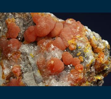 WR7065 Mimetite from San Pedro Mine, Municipio de Cerro de San Pedro, San Luis Potosi, Mexico