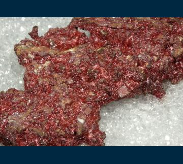 RG0827 Cuprite ( var. Chalcotrichite ) from Ray Mine, Ray District, near Kearney, Dripping Springs Mts., Pinal County, Arizona, USA RG0827 Cuprite ( var. Chalcotrichite ) from Ray Mine, Ray District, near Kearney, Dripping Springs Mts., Pinal County, Arizona, USA