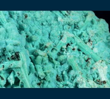 RG0443 Chrysocolla ( pseudo Gypsum? ) from Ray Mine, Ray District, near Kearney, Dripping Springs Mts., Pinal County, Arizona, USA RG0443 Chrysocolla ( pseudo Gypsum? ) from Ray Mine, Ray District, near Kearney, Dripping Springs Mts., Pinal County, Arizona, USA