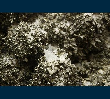 IDCO2 Calcite on Quartz with Pyrite from Idarado Mine, Ouray District, Telluride, San Miguel County, Colorado, USA