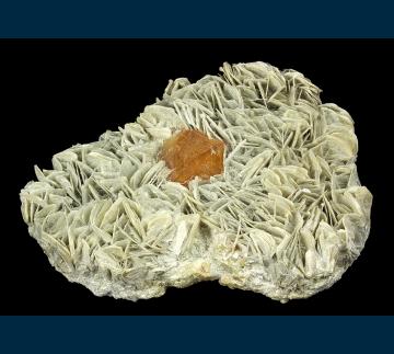 RG1283 Scheelite on Muscovite from Mt. Xuebaoding, Pingwu County, Mianyang Prefecture, Sichuan Province, China