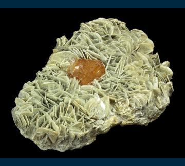 RG1283 Scheelite on Muscovite from Mt. Xuebaoding, Pingwu County, Mianyang Prefecture, Sichuan Province, China