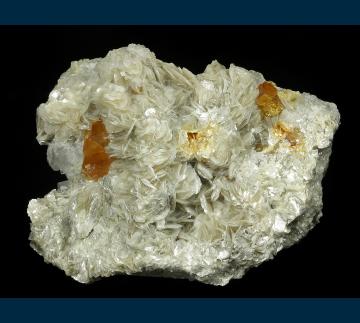 RG1286 Scheelite on Muscovite from Mt. Xuebaoding, Pingwu County, Mianyang Prefecture, Sichuan Province, China