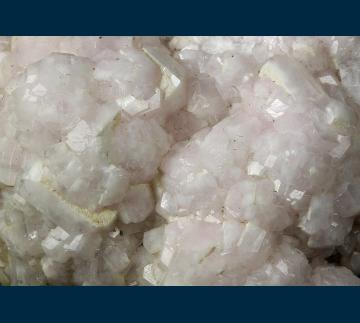 RG0996 Apophyllite from Lierskogen Quarry, Lier, Buskerud Fylke, Norway RG0996 Apophyllite from Lierskogen Quarry, Lier, Buskerud Fylke, Norway