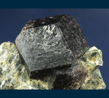 RG0975 Almandine garnet from Fauske, Nordland Fylke, Norway RG0975 Almandine garnet from Fauske, Nordland Fylke, Norway