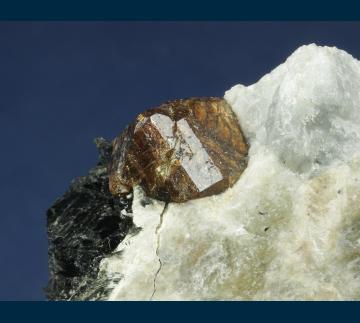 RG0989 Zircon with Biotite on Nepheline from Seiland, Alta, Finnmark Fylke, Norway RG0989 Zircon with Biotite on Nepheline from Seiland, Alta, Finnmark Fylke, Norway