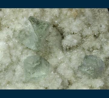 Q307 Fluorite on Quartz from Sunshine #2 Tunnel, Blanchard Mine, Hansonburg District, Bingham, Socorro County, New Mexico, USA Q307 Fluorite on Quartz from Sunshine #2 Tunnel, Blanchard Mine, Hansonburg District, Bingham, Socorro County, New Mexico, USA
