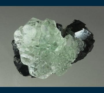 F275 Fluorite on Sphalerite from Naica Mine, Naica District, Municipio de Saucillo, Chihuahua, Mexico