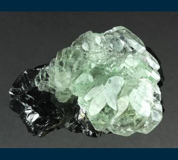 F275 Fluorite on Sphalerite from Naica Mine, Naica District, Municipio de Saucillo, Chihuahua, Mexico