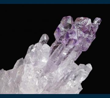 Q130 Quartz ( var. Amethyst Sceptered ) from Karur, Tamil Nadu, South India, India