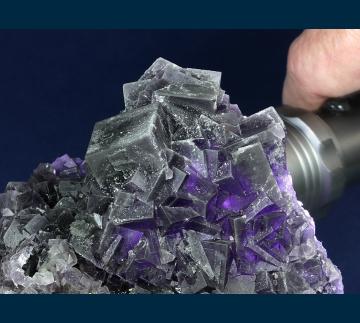 F470 Fluorite from Summit Cleft (2700 m), Weisseck Mountain area, Lungau, Salzburg, Austria