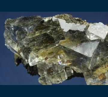 F003 Fluorite on Pyrite from First Sovietskiy Mine, Dal'negorsk, Primorskiy Kray, Russia F003 Fluorite on Pyrite from First Sovietskiy Mine, Dal'negorsk, Primorskiy Kray, Russia