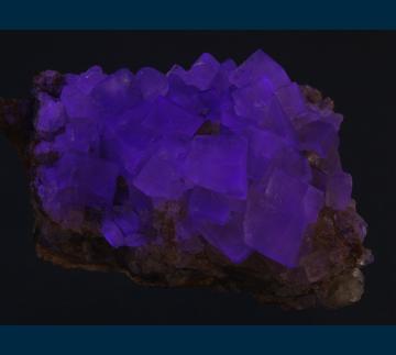 F304 Fluorite from Lassgrund, Einbachtal, Hausach, Schwarzwald, Baden-Wuerttemberg, Germany