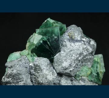 F454 Fluorite on Galena from Rogerley Mine, Frosterley, Weardale, County Durham, England F454 Fluorite on Galena from Rogerley Mine, Frosterley, Weardale, County Durham, England