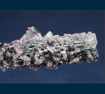 RG1375 Elbaite (var. Indicolite) Tourmaline with Lepidolite from Pederneira claim, Sao Jose da Safira, Doce valley, Minas Gerais, Brazil