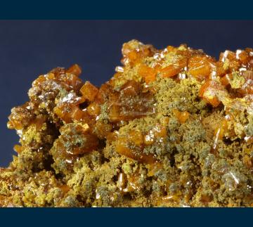 BG93-3 Wulfenite on Mottramite from Erupcion/Ahumada Mine, Los Lamentos District, Sierra de Los Lamentos, Municipio de Ahumada, Chihuahua, Mexico