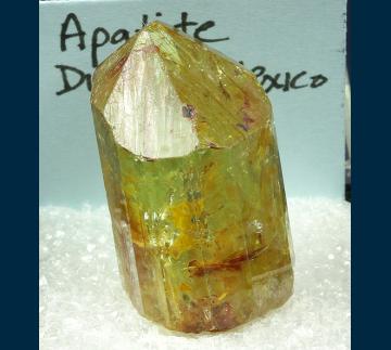 TN113 Apatite from Cerro de Mercado Mine, Victoria de Durango, Cerro de los Remedios, Mun. de Durango, Durango, Mexico TN113 Apatite from Cerro de Mercado Mine, Victoria de Durango, Cerro de los Remedios, Mun. de Durango, Durango, Mexico