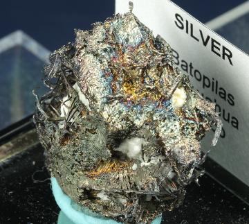 TN130 Silver from Andres Del Rio District, Batopilas, Municipio de Batopilas, Chihuahua, Mexico TN130 Silver from Andres Del Rio District, Batopilas, Municipio de Batopilas, Chihuahua, Mexico
