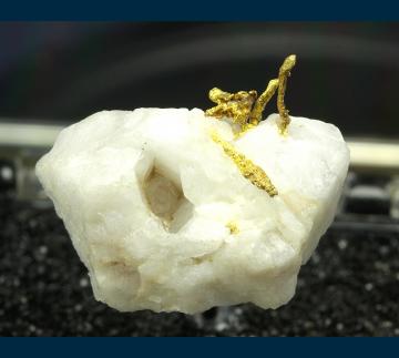 TN155 Gold from Grass Valley, Nevada Co., California, USA TN155 Gold from Grass Valley, Nevada Co., California, USA